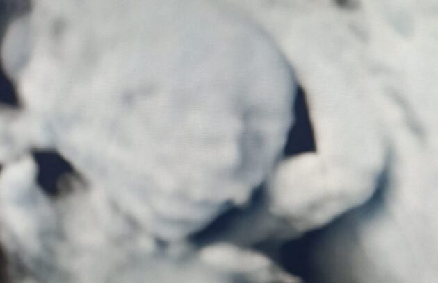 WhatsApp-Image-2022-07-14-at-10.24.47-AM-630x408